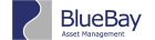 logo BlueBay 